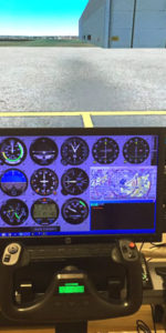large two screen flight sim
